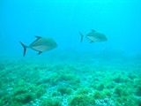 Pousada em Fernando de Noronha